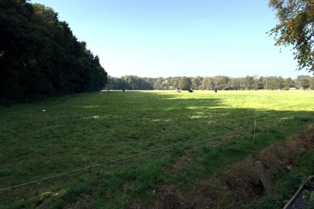 Natuurhuisje Veluwe Met Houtkachel En Pizzaoven Villa Ermelo Buitenkant foto